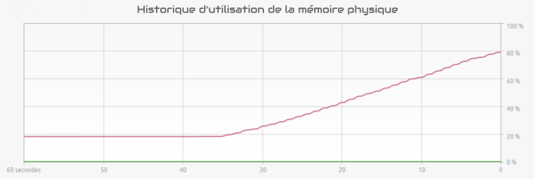 Fuite mémoire lors de l'allocation dynamique